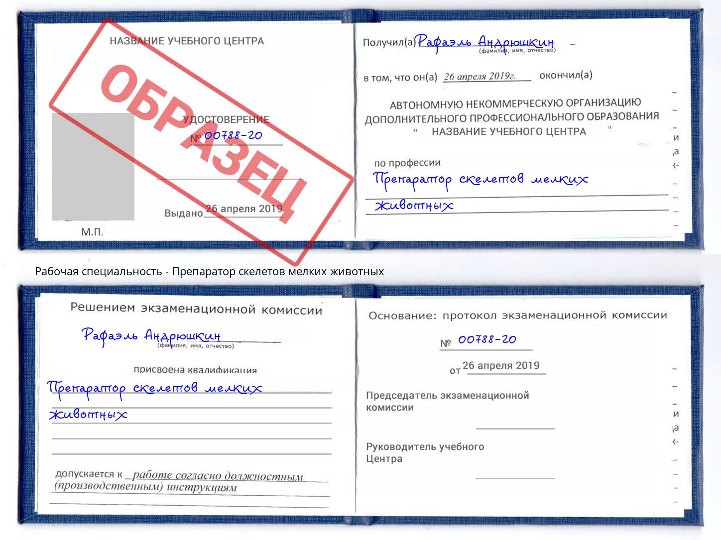 Препаратор скелетов мелких животных Амурск