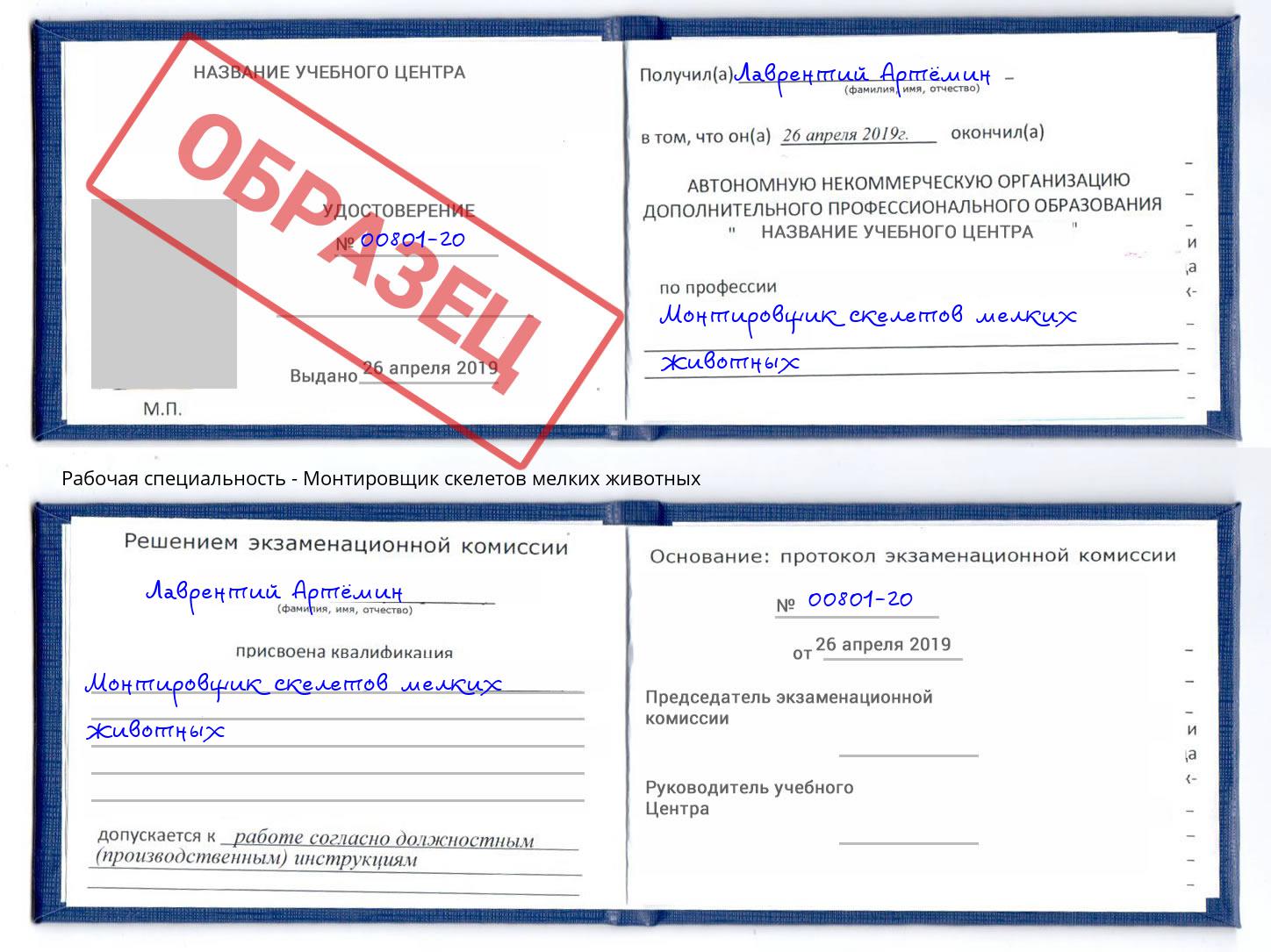 Монтировщик скелетов мелких животных Амурск