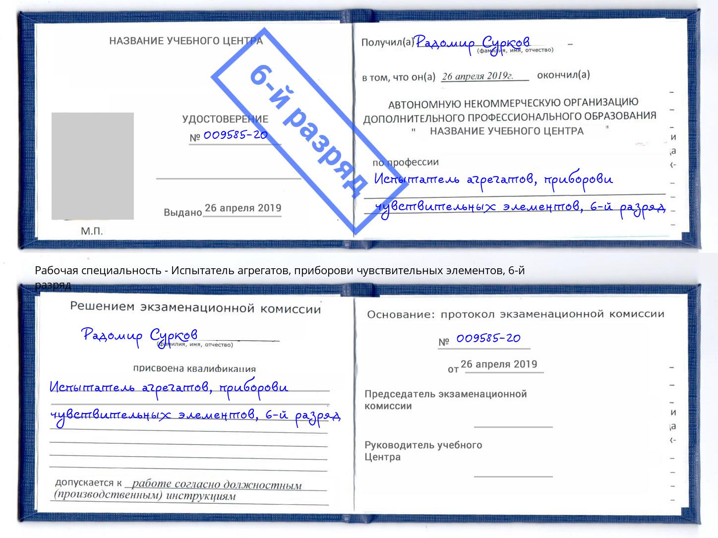 корочка 6-й разряд Испытатель агрегатов, приборови чувствительных элементов Амурск