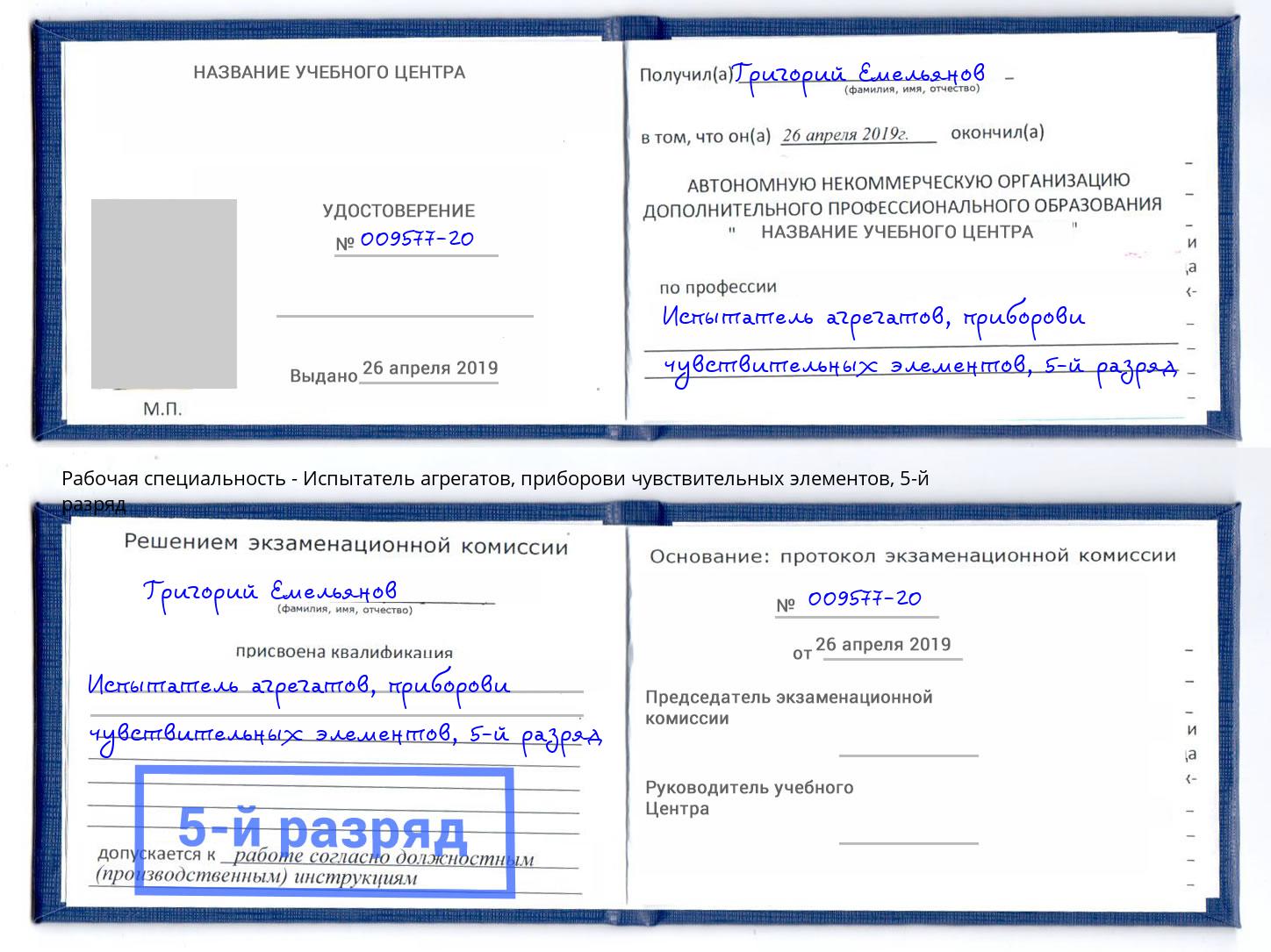 корочка 5-й разряд Испытатель агрегатов, приборови чувствительных элементов Амурск