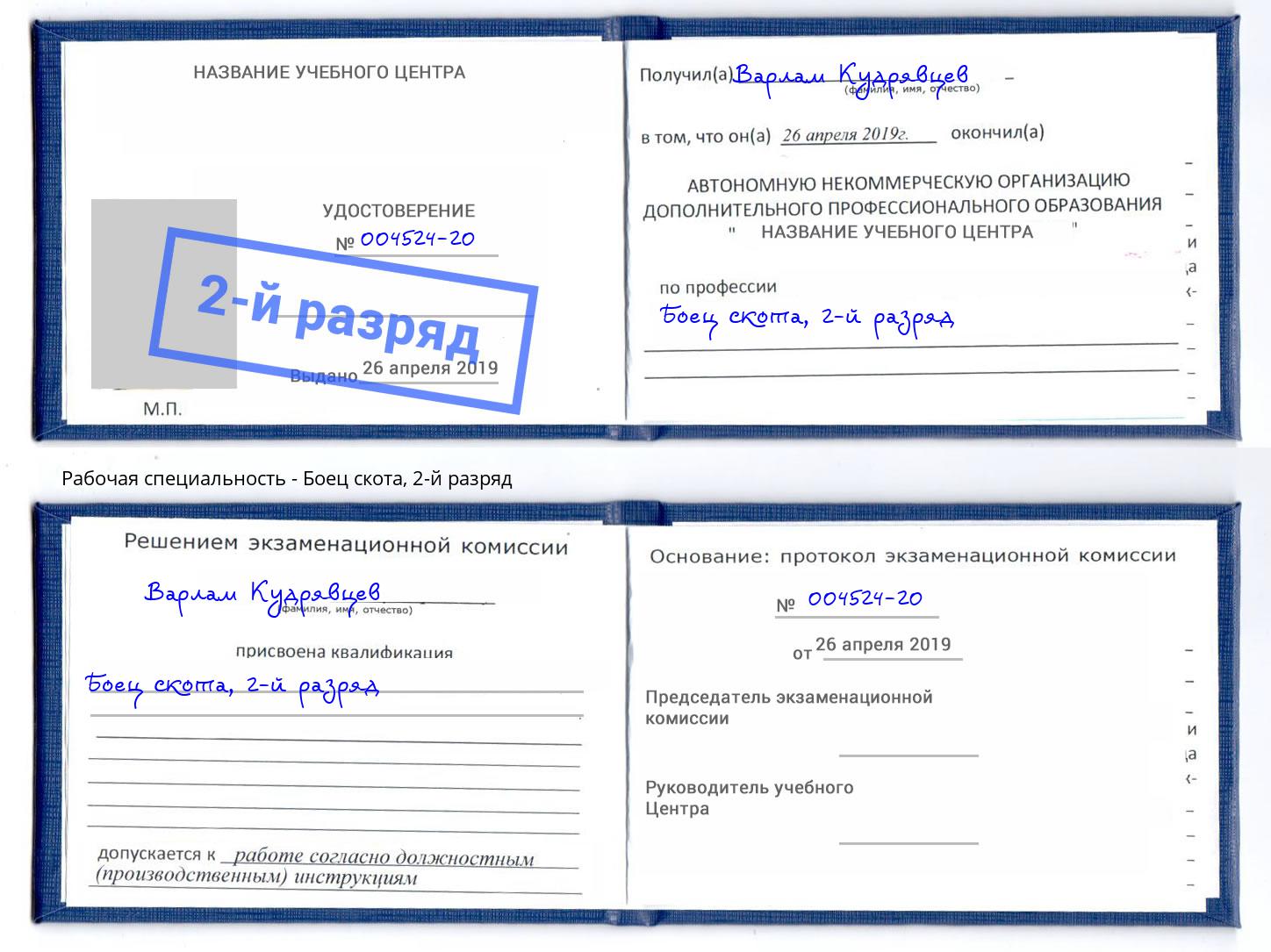 корочка 2-й разряд Боец скота Амурск