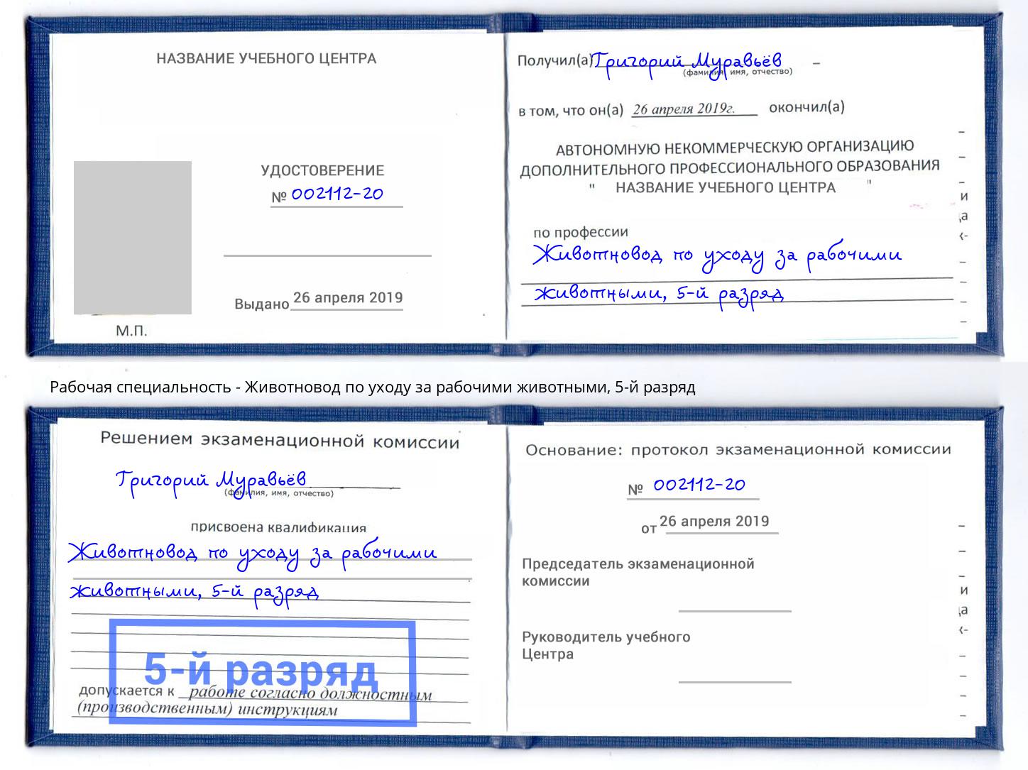 корочка 5-й разряд Животновод по уходу за рабочими животными Амурск