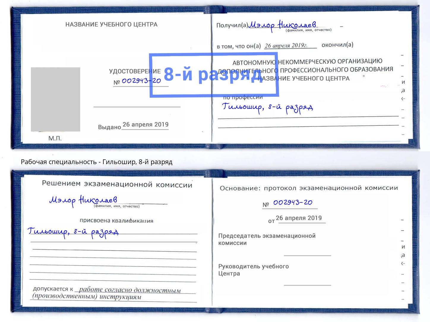 корочка 8-й разряд Гильошир Амурск